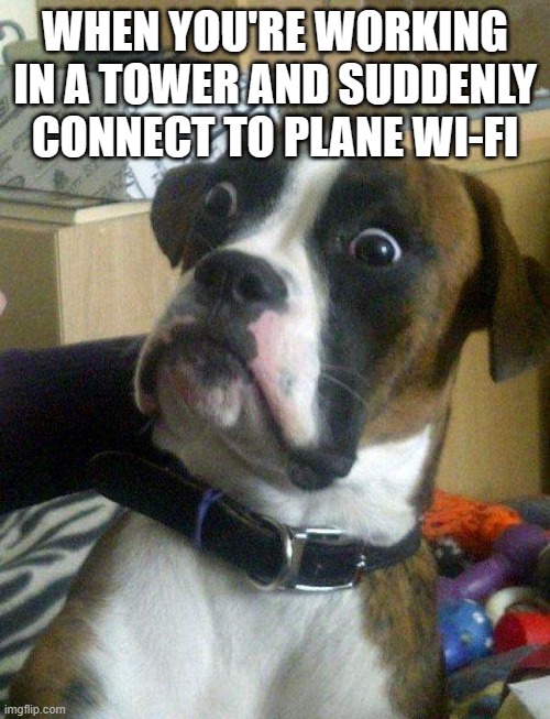 Blankie the Shocked Dog | WHEN YOU'RE WORKING IN A TOWER AND SUDDENLY CONNECT TO PLANE WI-FI | image tagged in blankie the shocked dog | made w/ Imgflip meme maker