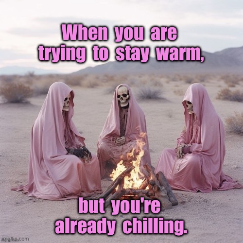 Chilling | When  you  are  trying  to  stay  warm, but  you're  already  chilling. | image tagged in fireside,stay warm,already chilling,fun | made w/ Imgflip meme maker