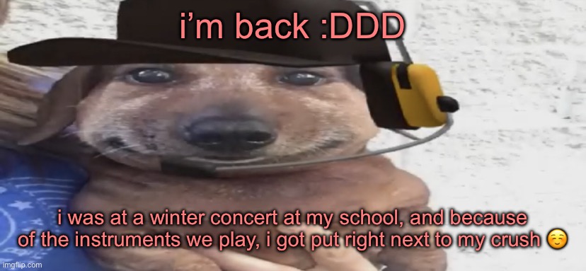 i see nobody here was scared for the safety of another user while i was gone | i’m back :DDD; i was at a winter concert at my school, and because of the instruments we play, i got put right next to my crush ☺️ | image tagged in chucklenuts | made w/ Imgflip meme maker