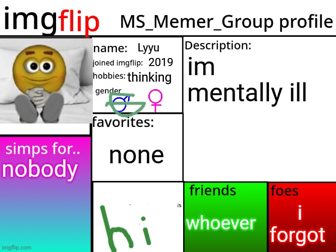 im an orange | Lyyu; im mentally ill; 2019; thinking; none; nobody; i forgot; whoever | image tagged in msmg profile | made w/ Imgflip meme maker