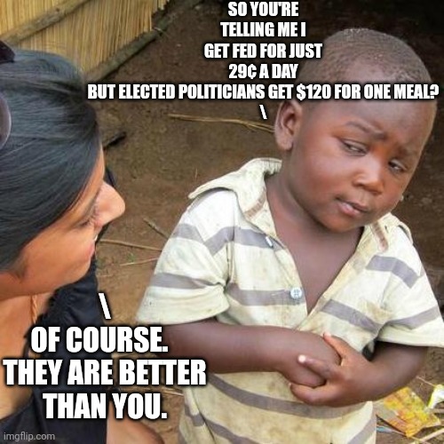 Third World Skeptical Kid Meme | SO YOU'RE TELLING ME I GET FED FOR JUST 29¢ A DAY BUT ELECTED POLITICIANS GET $120 FOR ONE MEAL?
\ \
OF COURSE.  
THEY ARE BETTER THAN YOU. | image tagged in memes,third world skeptical kid | made w/ Imgflip meme maker