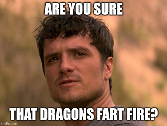 imagine dragons | ARE YOU SURE; THAT DRAGONS FART FIRE? | image tagged in are you sure,dragons | made w/ Imgflip meme maker