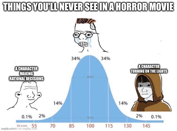 Ok | THINGS YOU'LL NEVER SEE IN A HORROR MOVIE; A CHARACTER TURNING ON THE LIGHTS; A CHARACTER MAKING RATIONAL DECISIONS | image tagged in bell curve,memes,funny memes | made w/ Imgflip meme maker