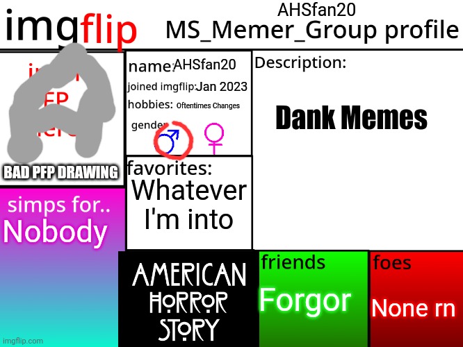 MSMG Profile | AHSfan20; AHSfan20; Jan 2023; Dank Memes; Oftentimes Changes; BAD PFP DRAWING; Whatever I'm into; Nobody; Forgor; None rn | image tagged in msmg profile | made w/ Imgflip meme maker
