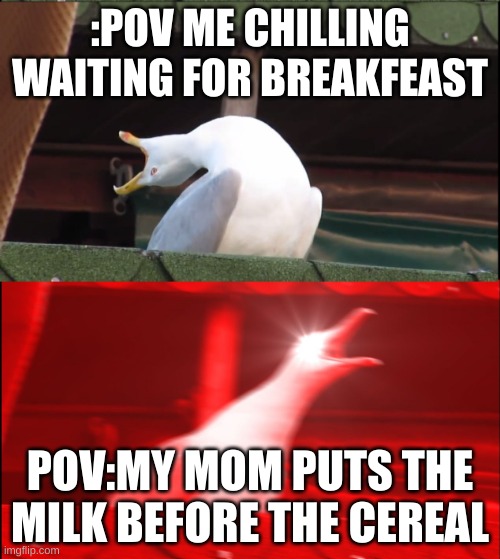 ME | :POV ME CHILLING WAITING FOR BREAKFEAST; POV:MY MOM PUTS THE MILK BEFORE THE CEREAL | image tagged in screaming goose | made w/ Imgflip meme maker