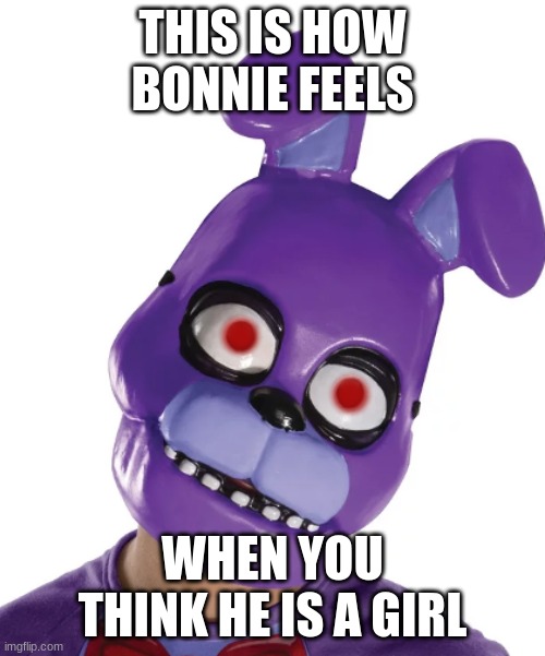 Why is 'Bonnie' even a girl name? | THIS IS HOW BONNIE FEELS; WHEN YOU THINK HE IS A GIRL | image tagged in bonnie,fnaf_bonnie,fnaf | made w/ Imgflip meme maker