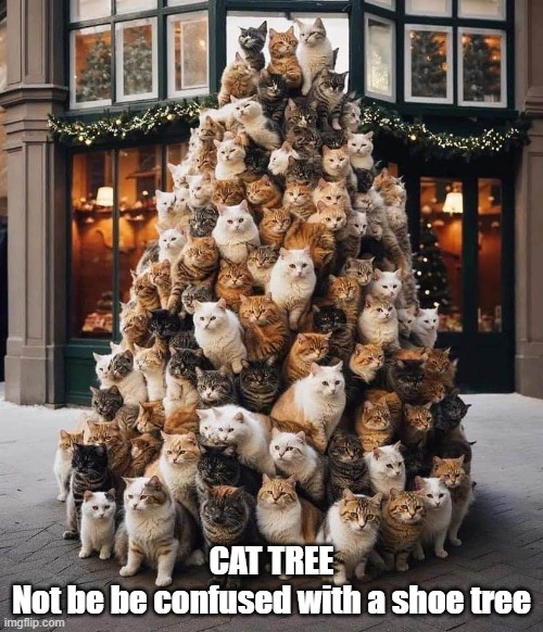 Cat Tree - Catty Holidays, everyone! | CAT TREE
Not be be confused with a shoe tree | image tagged in cat tree | made w/ Imgflip meme maker