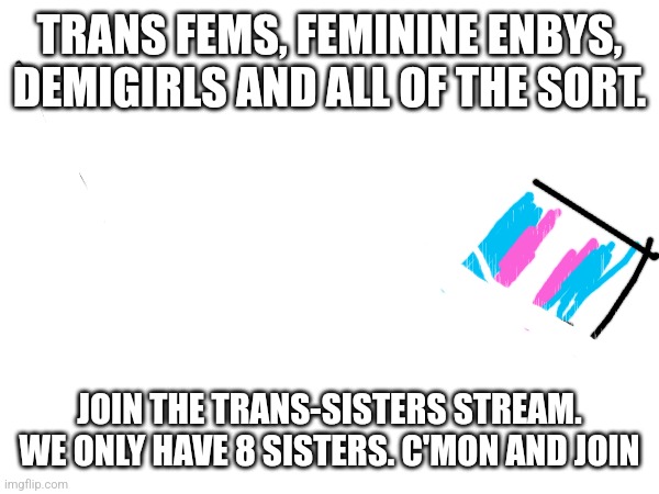Trans sisters | TRANS FEMS, FEMININE ENBYS, DEMIGIRLS AND ALL OF THE SORT. JOIN THE TRANS-SISTERS STREAM. WE ONLY HAVE 8 SISTERS. C'MON AND JOIN | image tagged in transgender,sisters | made w/ Imgflip meme maker