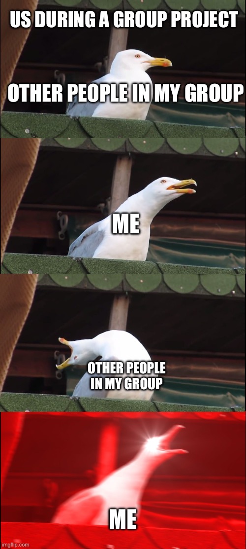 EVERYONE THE EFF UP | US DURING A GROUP PROJECT; OTHER PEOPLE IN MY GROUP; ME; OTHER PEOPLE IN MY GROUP; ME | image tagged in memes,inhaling seagull | made w/ Imgflip meme maker