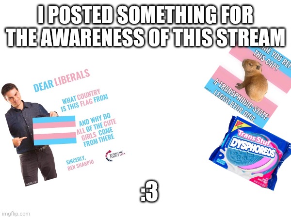 Trans sisters | I POSTED SOMETHING FOR THE AWARENESS OF THIS STREAM; :3 | image tagged in transgender,skittles | made w/ Imgflip meme maker