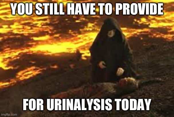 Urinalysis Anikin | YOU STILL HAVE TO PROVIDE; FOR URINALYSIS TODAY | image tagged in anikin burn,navy,urinalysis,urinalysis program,navy drug program,upc | made w/ Imgflip meme maker