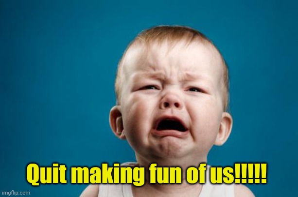 crybaby | Quit making fun of us!!!!! | image tagged in crybaby | made w/ Imgflip meme maker
