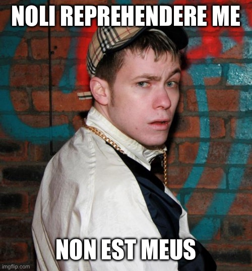 Don’t blame me | NOLI REPREHENDERE ME; NON EST MEUS | image tagged in chav,mine,oh no | made w/ Imgflip meme maker