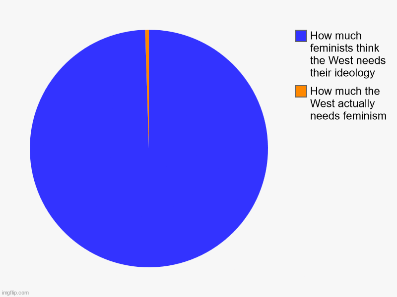 How much the West actually needs feminism, How much feminists think the West needs their ideology | image tagged in charts,pie charts | made w/ Imgflip chart maker