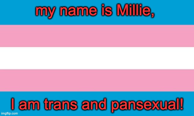Transgender Flag | my name is Millie, I am trans and pansexual! | image tagged in transgender flag | made w/ Imgflip meme maker