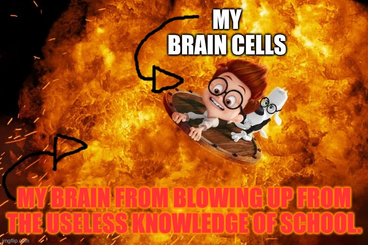 boom | MY BRAIN CELLS; MY BRAIN FROM BLOWING UP FROM THE USELESS KNOWLEDGE OF SCHOOL. | image tagged in boom | made w/ Imgflip meme maker
