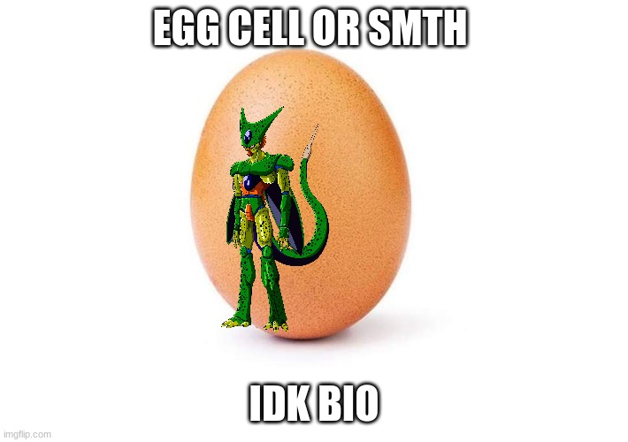 Eggbert | EGG CELL OR SMTH; IDK BIO | image tagged in eggbert | made w/ Imgflip meme maker