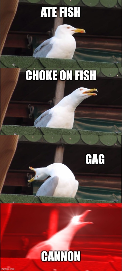 Inhaling Seagull | ATE FISH; CHOKE ON FISH; GAG; CANNON | image tagged in memes,inhaling seagull | made w/ Imgflip meme maker