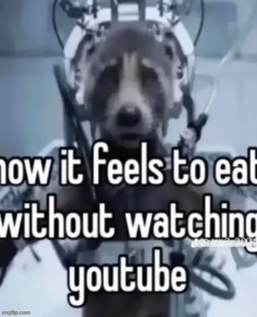as someone who doesnt watch youtube while i eat i can confirm that this is true | made w/ Imgflip meme maker