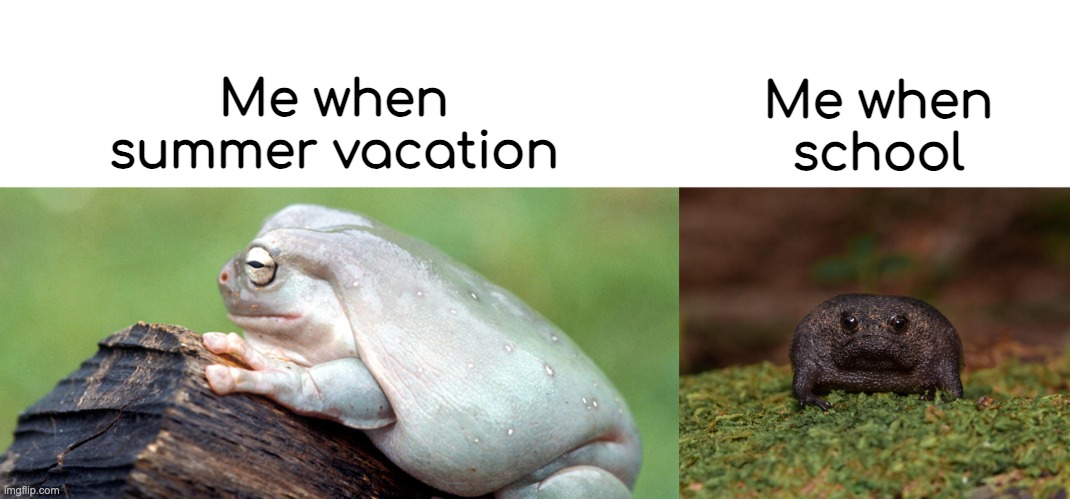 me irl | Me when school; Me when summer vacation | image tagged in dive,frog,froge | made w/ Imgflip meme maker
