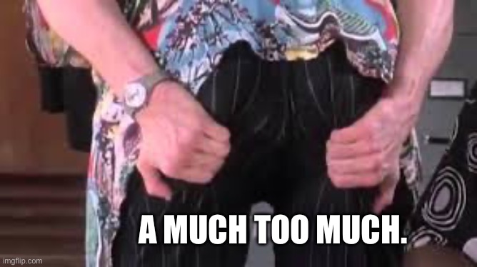Ace Ventura butt | A MUCH TOO MUCH. | image tagged in ace ventura butt | made w/ Imgflip meme maker