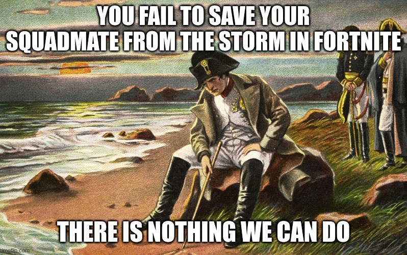 Napoleon | YOU FAIL TO SAVE YOUR SQUADMATE FROM THE STORM IN FORTNITE; THERE IS NOTHING WE CAN DO | image tagged in napoleon | made w/ Imgflip meme maker