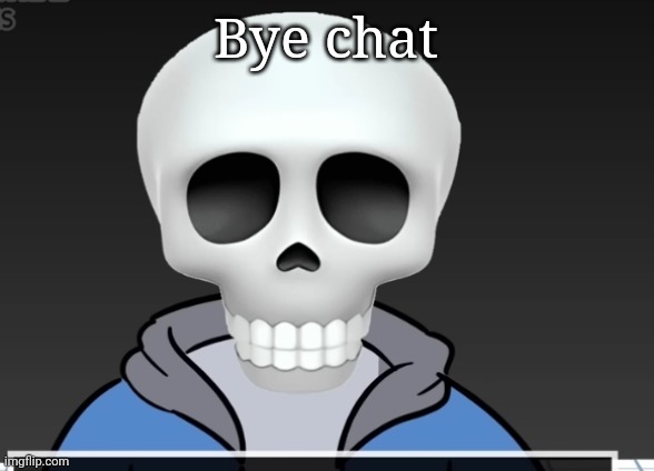 sans | Bye chat | image tagged in sans | made w/ Imgflip meme maker