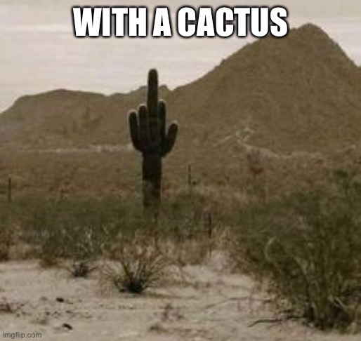 Cactus middle finger | WITH A CACTUS | image tagged in cactus middle finger | made w/ Imgflip meme maker