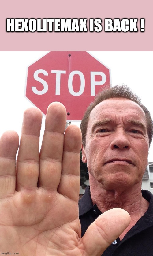 Arnold Schwarzenegger Stop | HEXOLITEMAX IS BACK ! | image tagged in arnold schwarzenegger stop | made w/ Imgflip meme maker