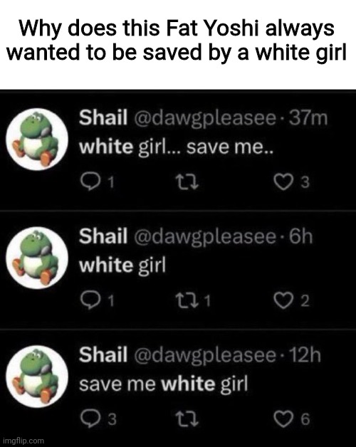Bruh | Why does this Fat Yoshi always wanted to be saved by a white girl | image tagged in white girl save me,memes,fat yoshi | made w/ Imgflip meme maker