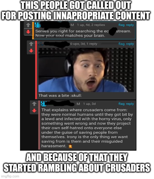 User whining about this stream: | THIS PEOPLE GOT CALLED OUT FOR POSTING INNAPROPRIATE CONTENT; AND BECAUSE OF THAT THEY STARTED RAMBLING ABOUT CRUSADERS | image tagged in cringe,whining,crusader,wtf,funny | made w/ Imgflip meme maker
