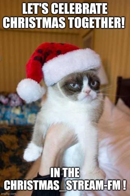 Link in comments | LET'S CELEBRATE CHRISTMAS TOGETHER! IN THE CHRISTMAS_STREAM-FM ! | image tagged in memes,grumpy cat christmas,grumpy cat | made w/ Imgflip meme maker