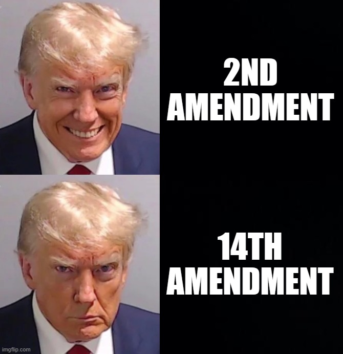 ...glad you politics streamers like my memes :) lots of views! | 2ND AMENDMENT; 14TH AMENDMENT | image tagged in losers | made w/ Imgflip meme maker