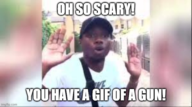 Shiver me Timbers | OH SO SCARY! YOU HAVE A GIF OF A GUN! | image tagged in shiver me timbers | made w/ Imgflip meme maker