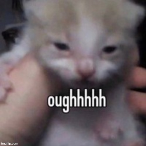 oughhhhh | image tagged in oughhhhh | made w/ Imgflip meme maker