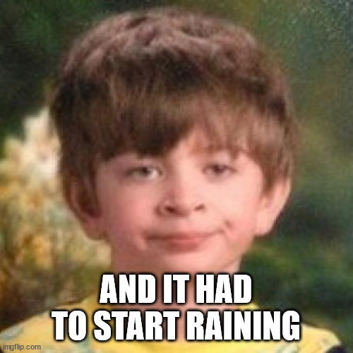 Annoyed face | AND IT HAD TO START RAINING | image tagged in annoyed face | made w/ Imgflip meme maker