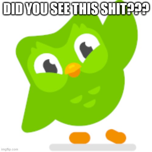 Duolingo memes | DID YOU SEE THIS SHIT??? | image tagged in duolingo memes | made w/ Imgflip meme maker
