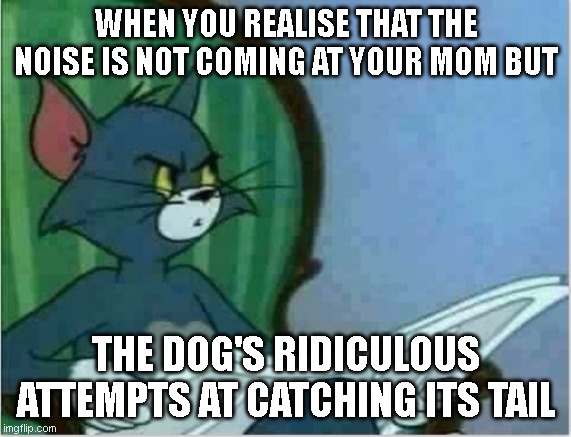 - | WHEN YOU REALISE THAT THE NOISE IS NOT COMING AT YOUR MOM BUT; THE DOG'S RIDICULOUS ATTEMPTS AT CATCHING ITS TAIL | image tagged in interrupting tom's read,memes,change my mind,relatable | made w/ Imgflip meme maker