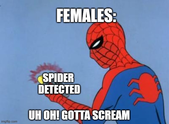 offensive meme | FEMALES:; SPIDER
 DETECTED; UH OH! GOTTA SCREAM | image tagged in spiderman detector | made w/ Imgflip meme maker