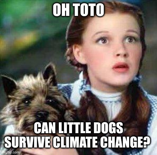Toto, can little dogs survive climate change? | OH TOTO; CAN LITTLE DOGS SURVIVE CLIMATE CHANGE? | image tagged in dorothy,wizard of oz,toto,climate change,memes,apocalypse | made w/ Imgflip meme maker