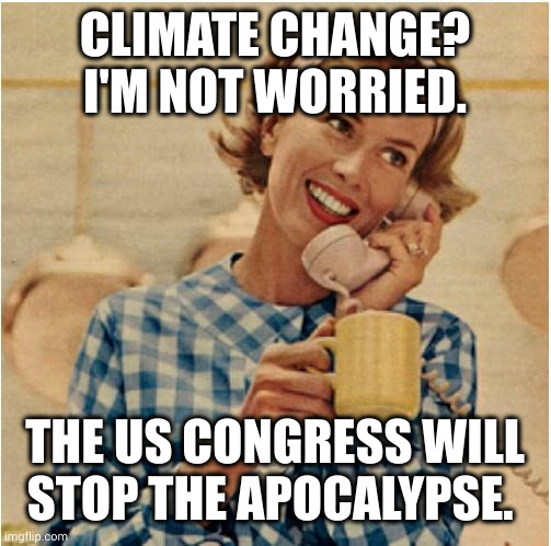 Mom: Climate change? US Congress will save us! | CLIMATE CHANGE? I'M NOT WORRIED. THE US CONGRESS WILL STOP THE APOCALYPSE. | image tagged in innocent mom,usa,congress,climate change,memes,no worries | made w/ Imgflip meme maker