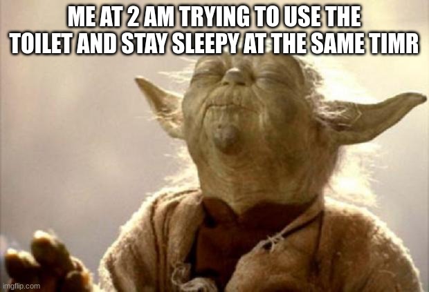 (Tuff note: then you get too sleepy and fall asleep on the toilet) | ME AT 2 AM TRYING TO USE THE TOILET AND STAY SLEEPY AT THE SAME TIMR | image tagged in yoda smell | made w/ Imgflip meme maker