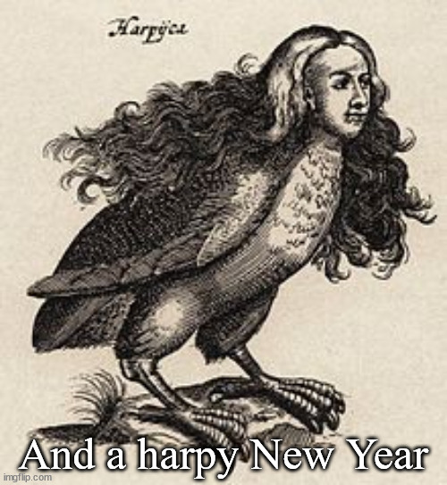 Harpy | And a harpy New Year | image tagged in harpy | made w/ Imgflip meme maker