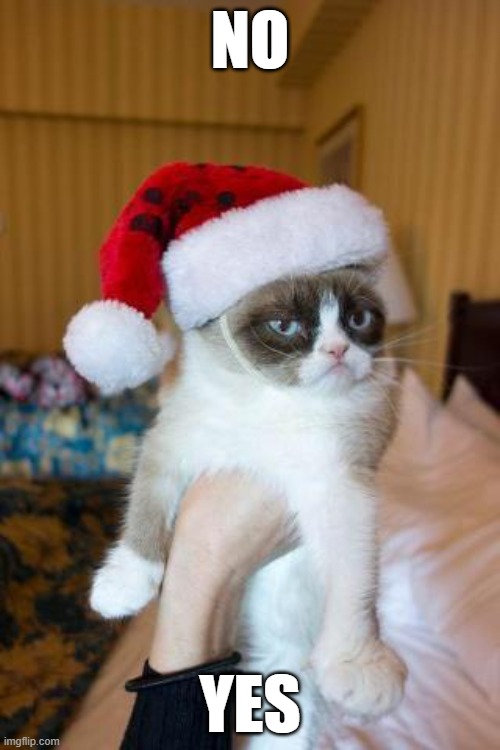 Grumpy Cat Christmas | NO; YES | image tagged in memes,grumpy cat christmas,grumpy cat | made w/ Imgflip meme maker