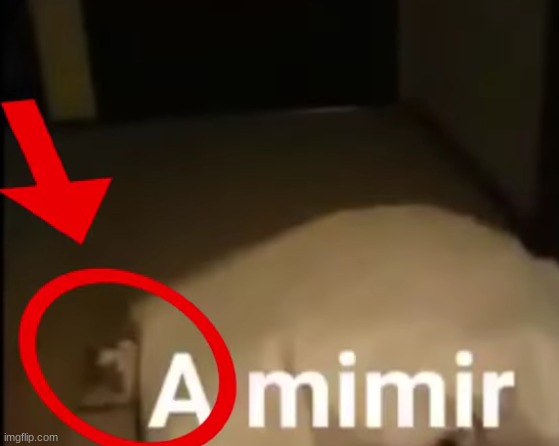everyone sleep I think | made w/ Imgflip meme maker