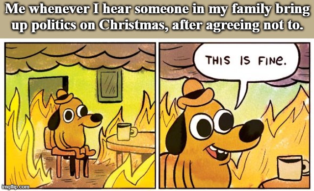 Families don't exist, we're just blood-related activists | Me whenever I hear someone in my family bring
up politics on Christmas, after agreeing not to. | image tagged in memes,this is fine | made w/ Imgflip meme maker