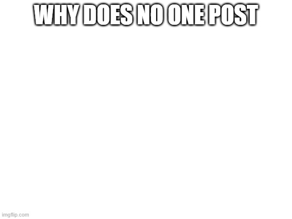 WHY DOES NO ONE POST | made w/ Imgflip meme maker