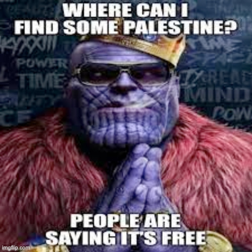 where can i find some palestine? | image tagged in where can i find some palestine | made w/ Imgflip meme maker
