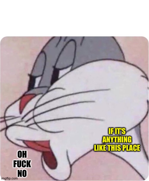 Bugs Bunny No | OH
FUCK
NO IF IT'S ANYTHING LIKE THIS PLACE | image tagged in bugs bunny no | made w/ Imgflip meme maker