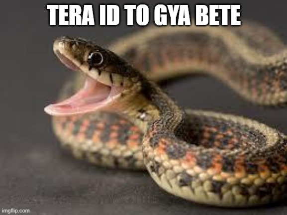 Warning Snake | TERA ID TO GYA BETE | image tagged in warning snake | made w/ Imgflip meme maker
